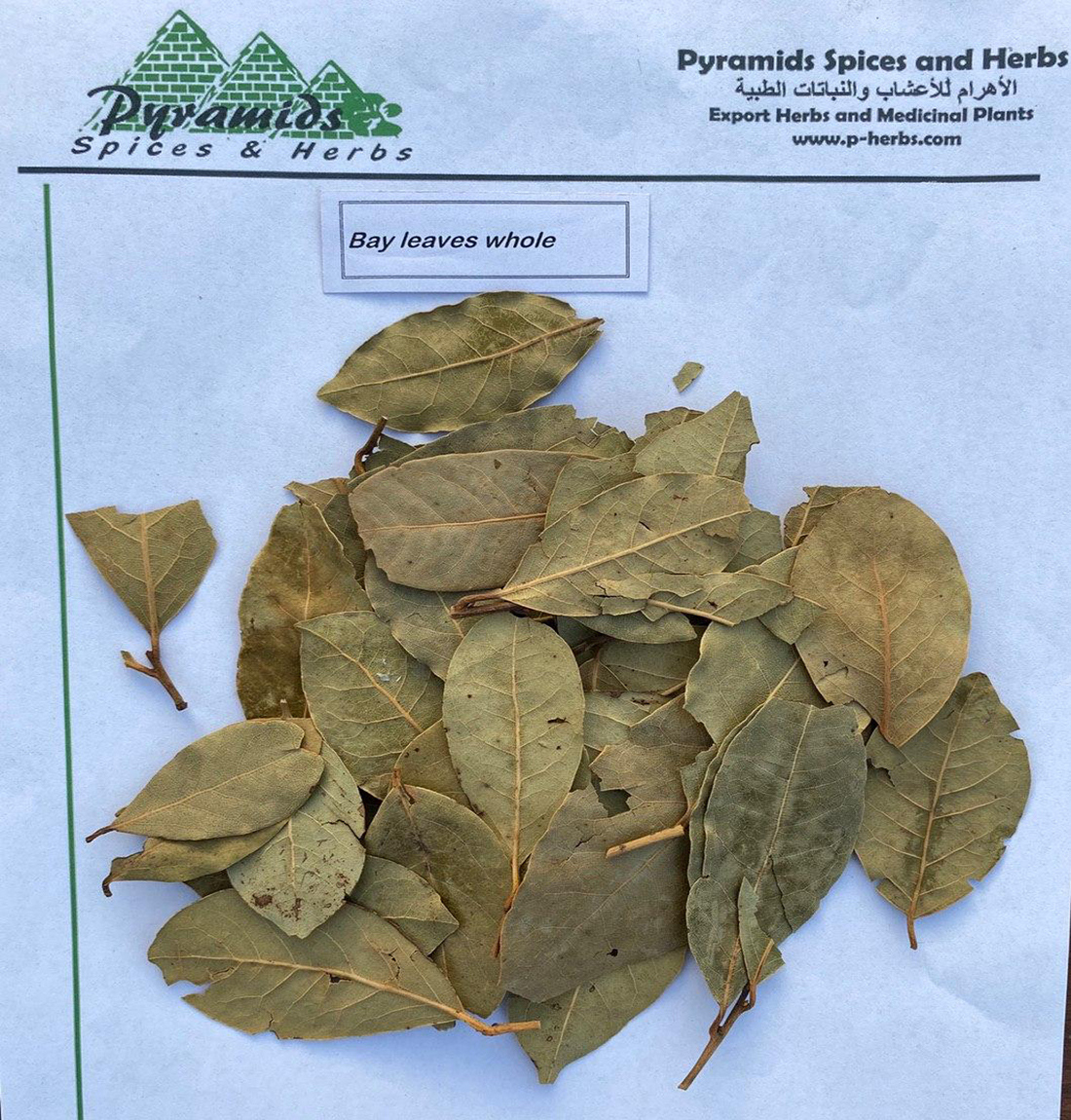 Bay leaves whole